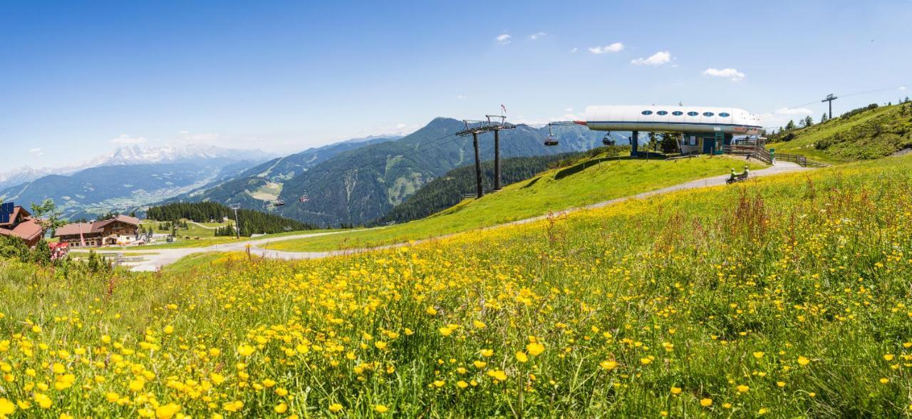 Gasthof Jandlalm Guest house 2*